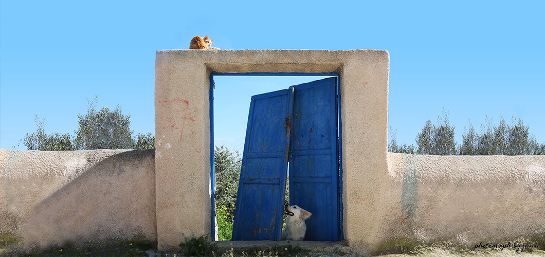 main_img014.jpg